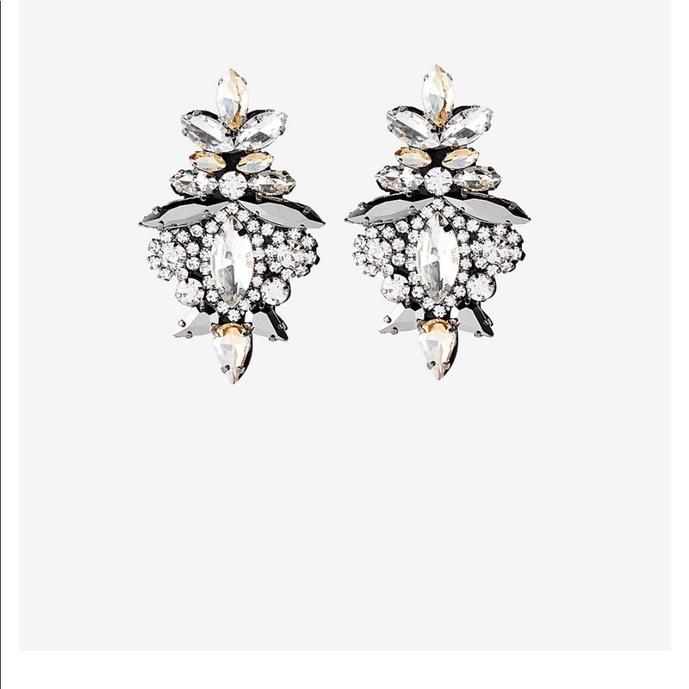 Ornate Stone Earrings